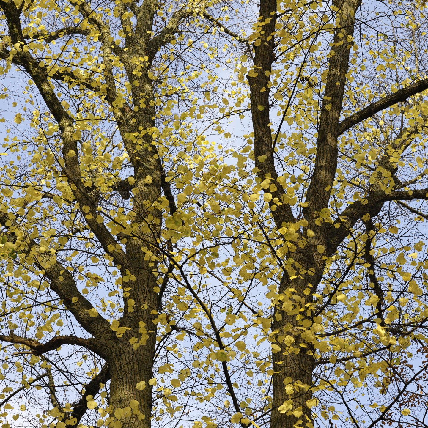 Untitled 2. © 2025. This work is openly licensed via CC BY-NC 4.0