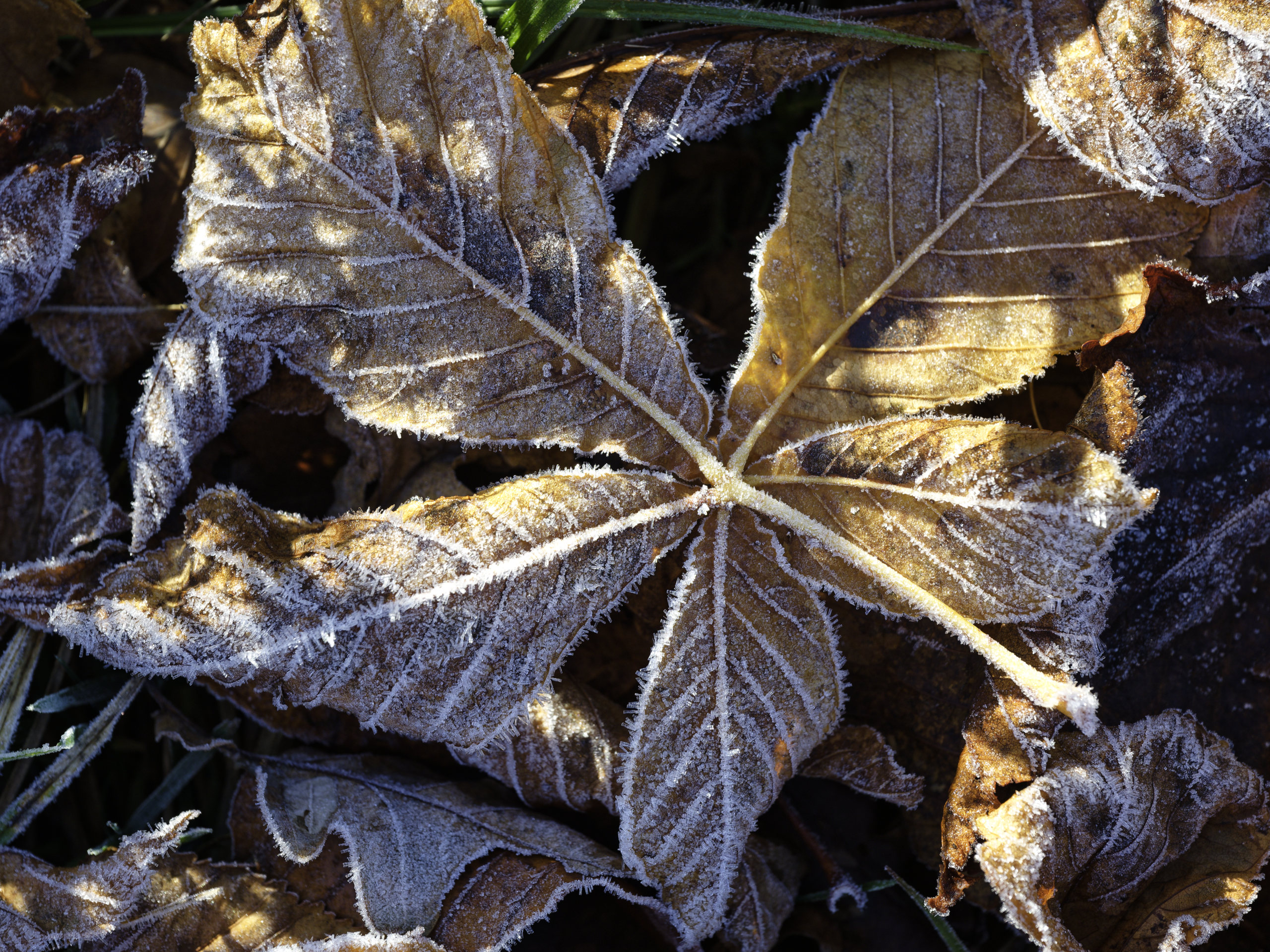 Autumn and Winter. © 2025. This work is openly licensed via CC BY-NC 4.0