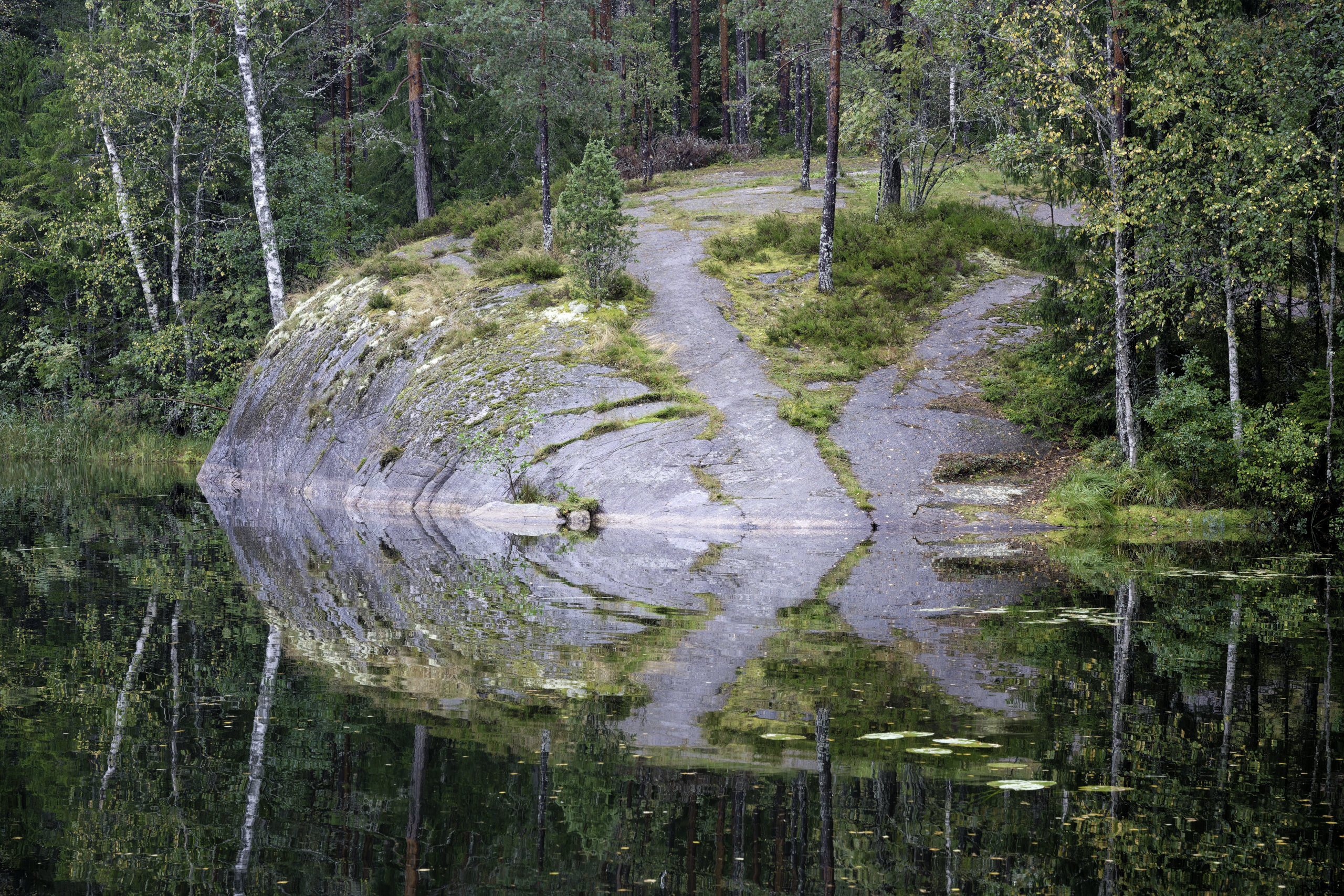 Reflections 1. © 2025. This work is openly licensed via CC BY-NC 4.0