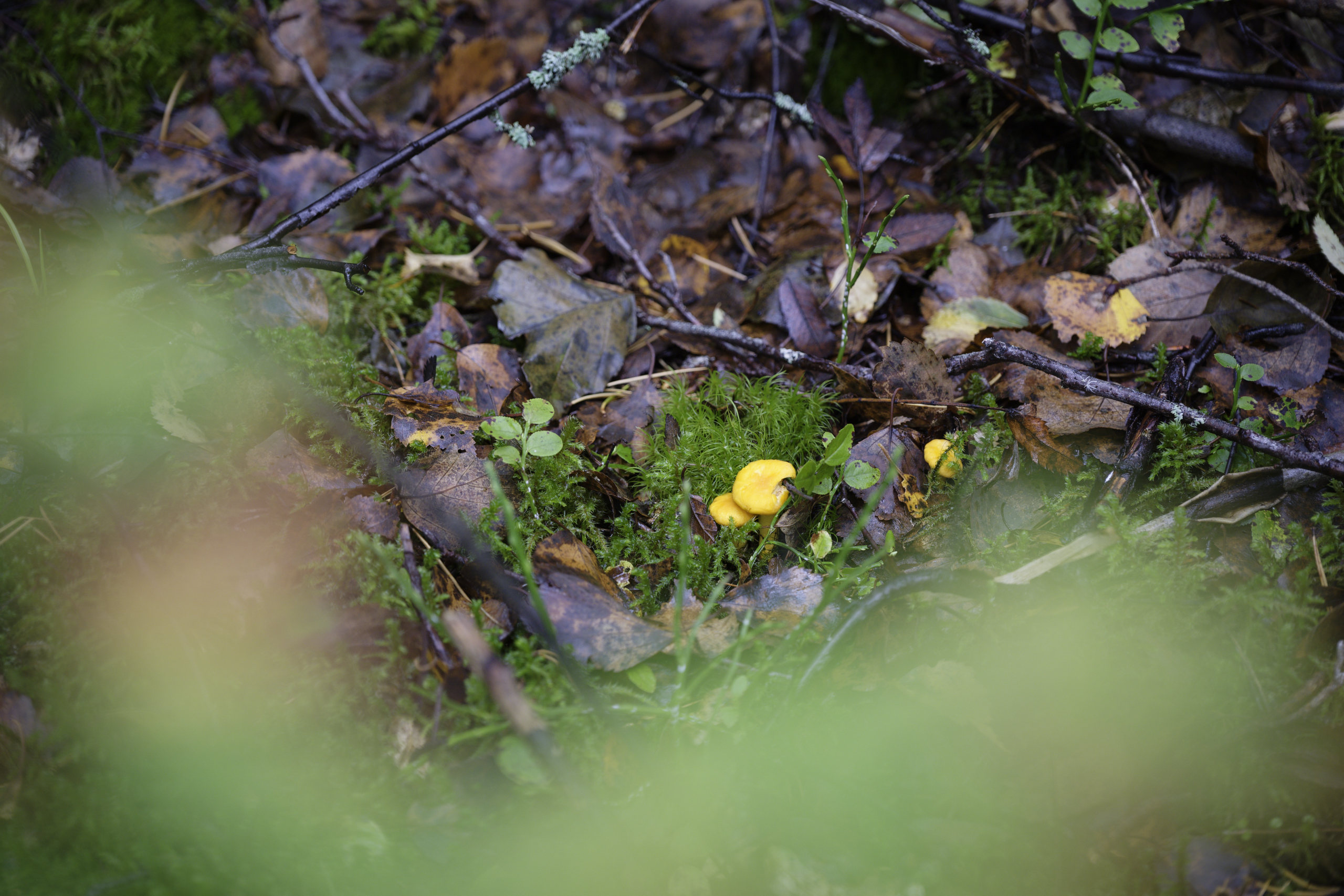 Magic. © 2025. This work is openly licensed via CC BY-NC 4.0