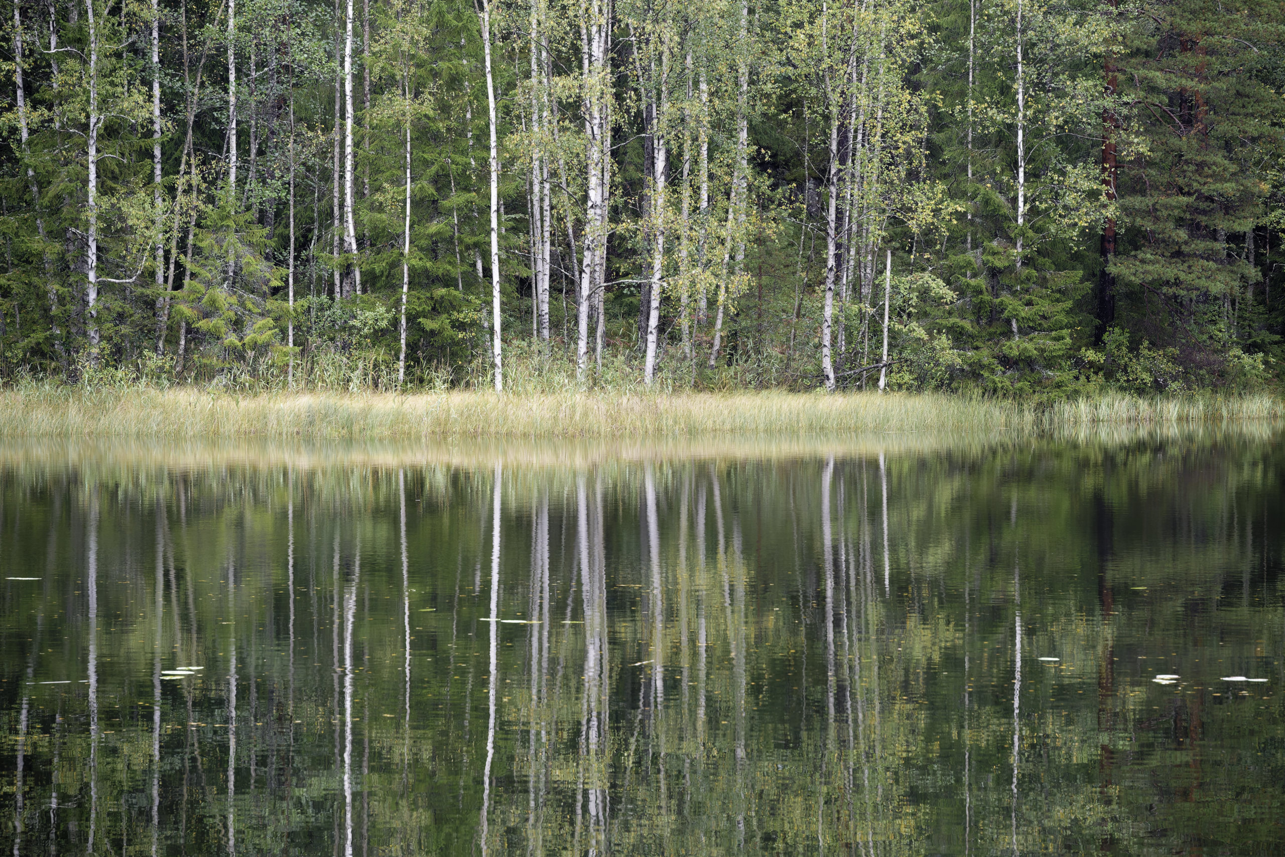 Reflections 3. © 2025. This work is openly licensed via CC BY-NC 4.0