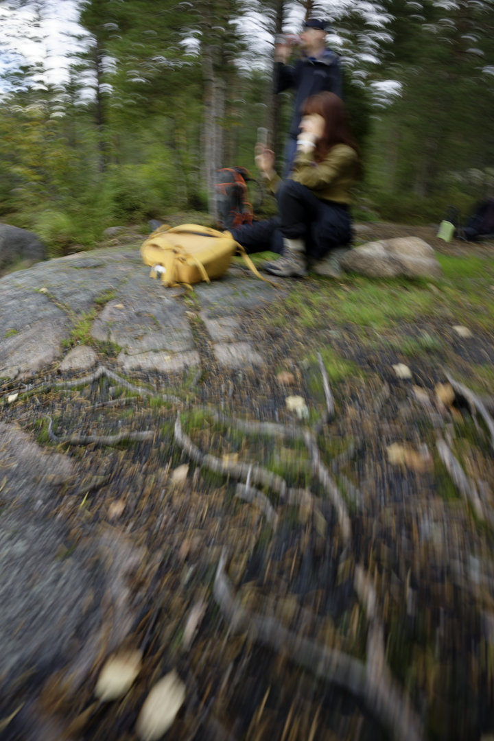 Intentional Camera Movement (ICM). © 2025. This work is openly licensed via CC BY-NC 4.0