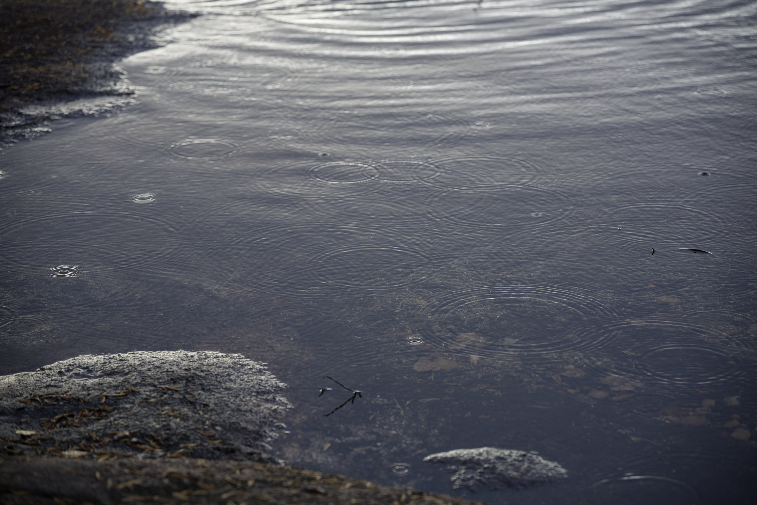 Ripples. © 2025. This work is openly licensed via CC BY-NC 4.0