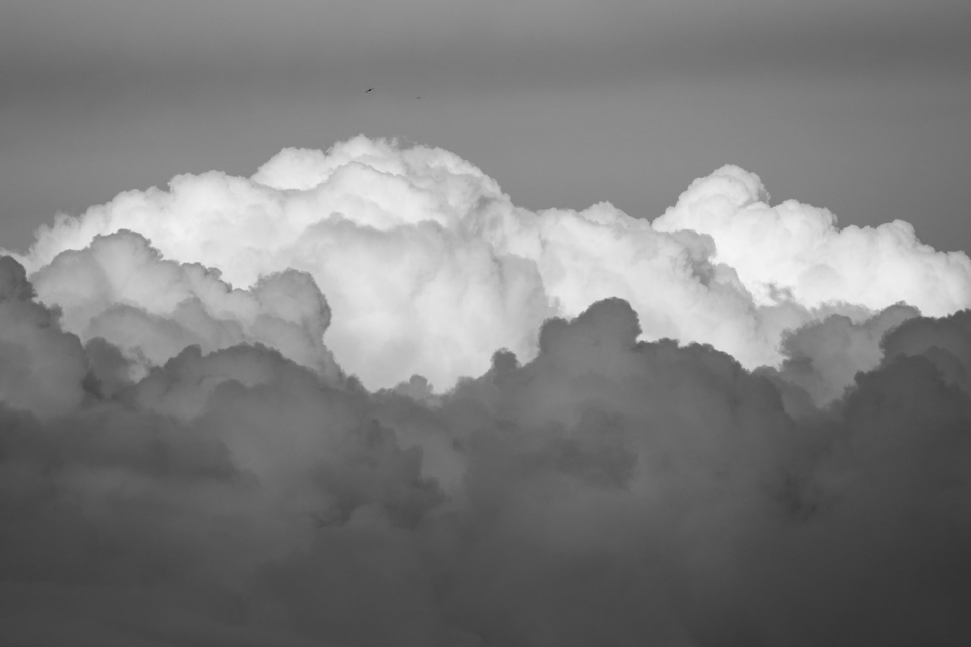 Flying high #1 © 2026.