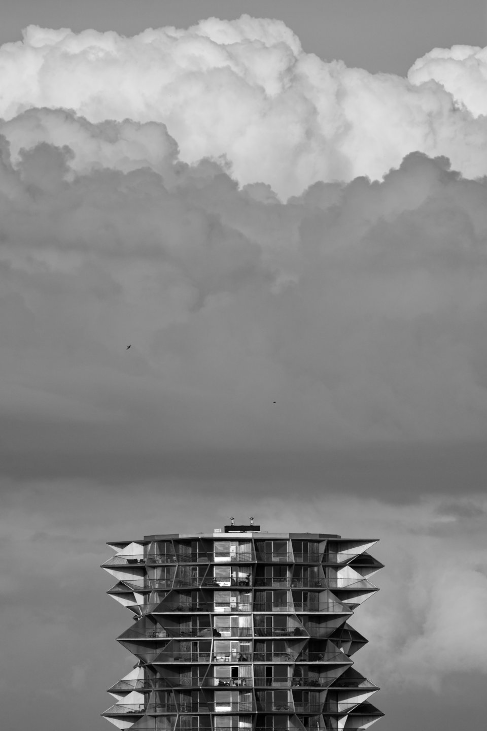 Flying high #2 © 2026.
