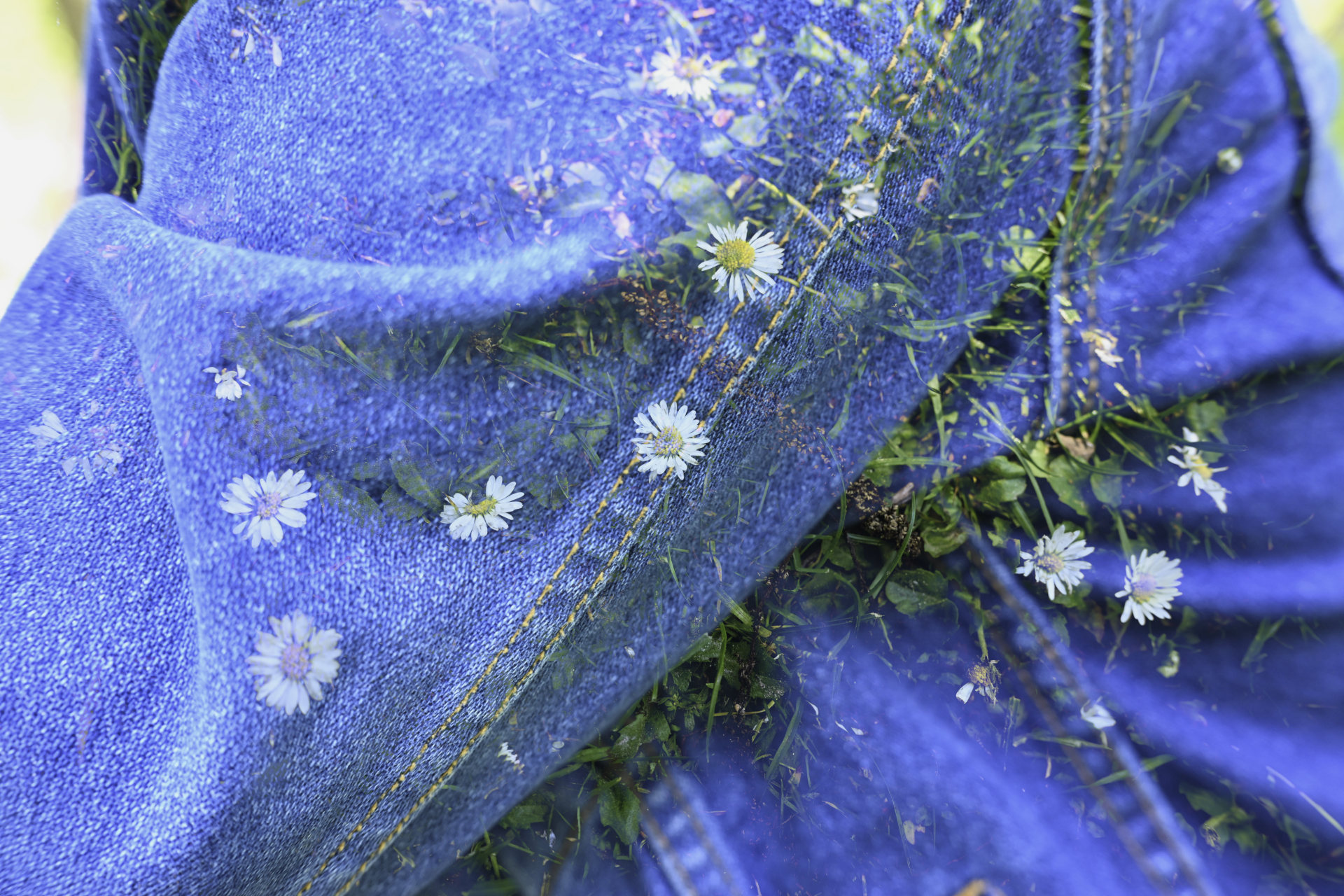 Daisy denim. © 2026.