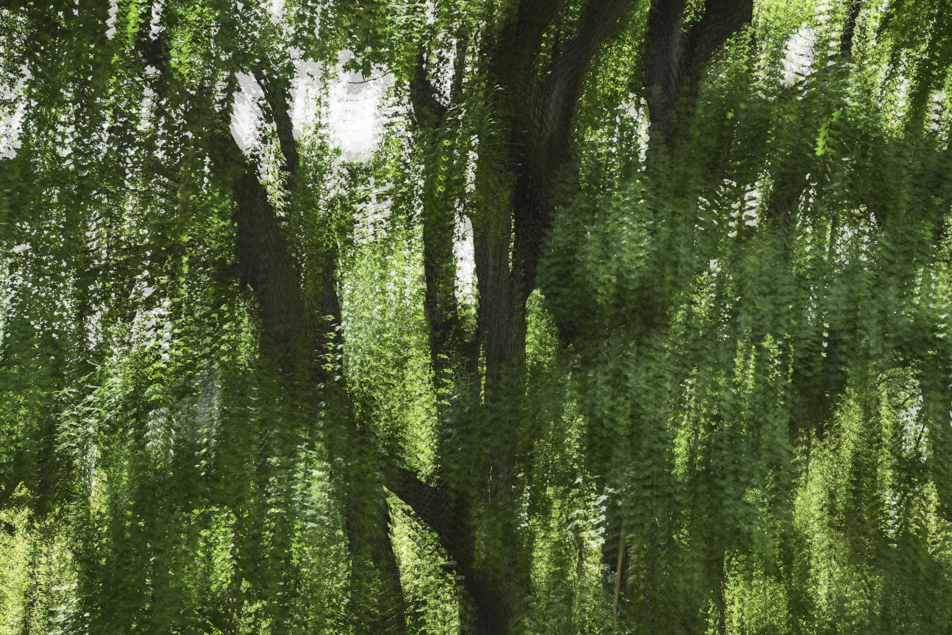 Untitled #1 © 2026.