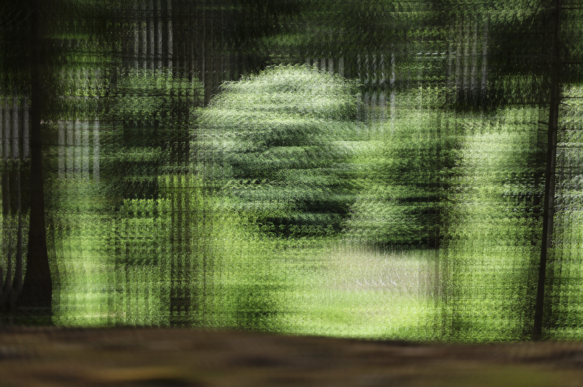 Untitled #2 © 2026.