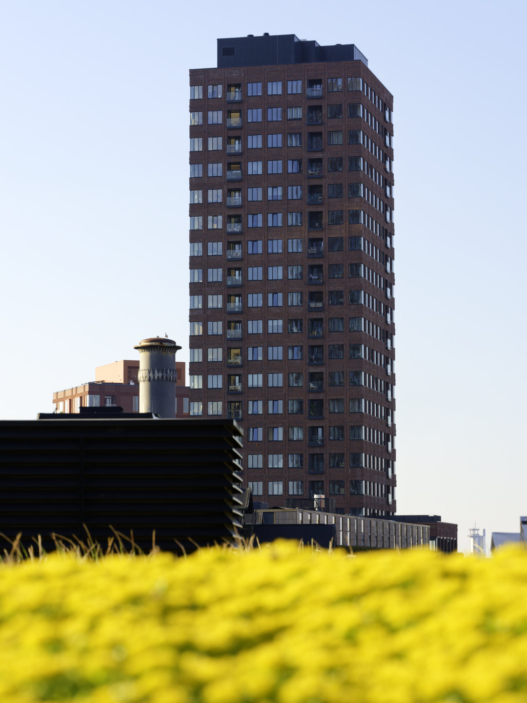 Rooftop © 2026.