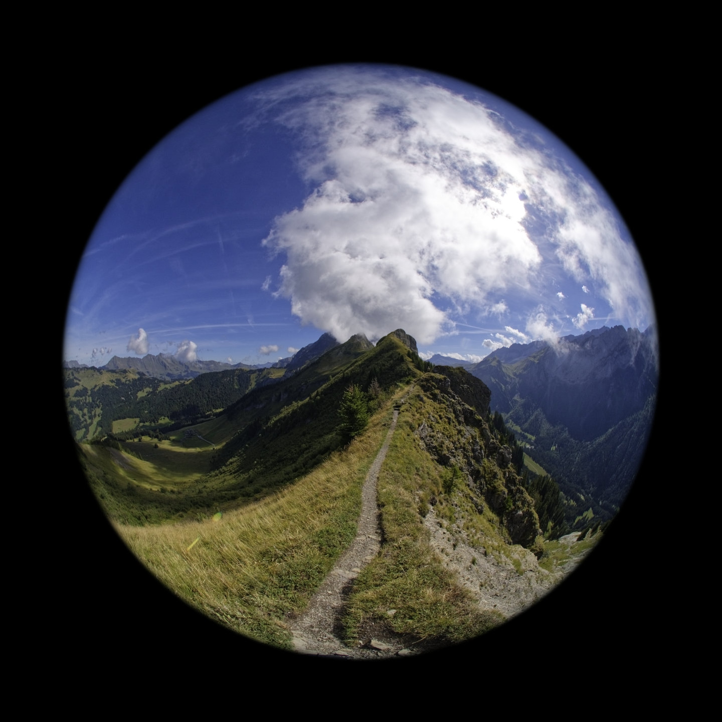 Alpine fisheye. © 2026.