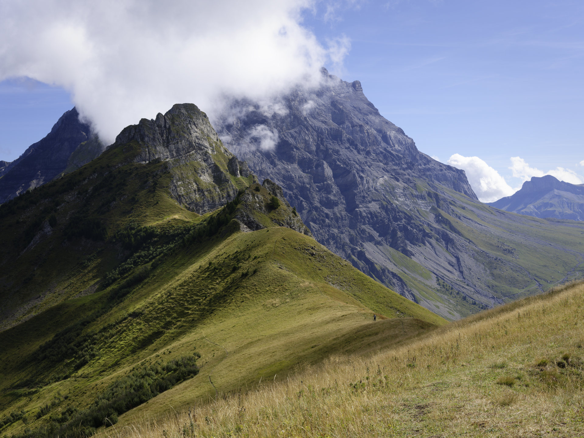Alpine ambling. © 2026.