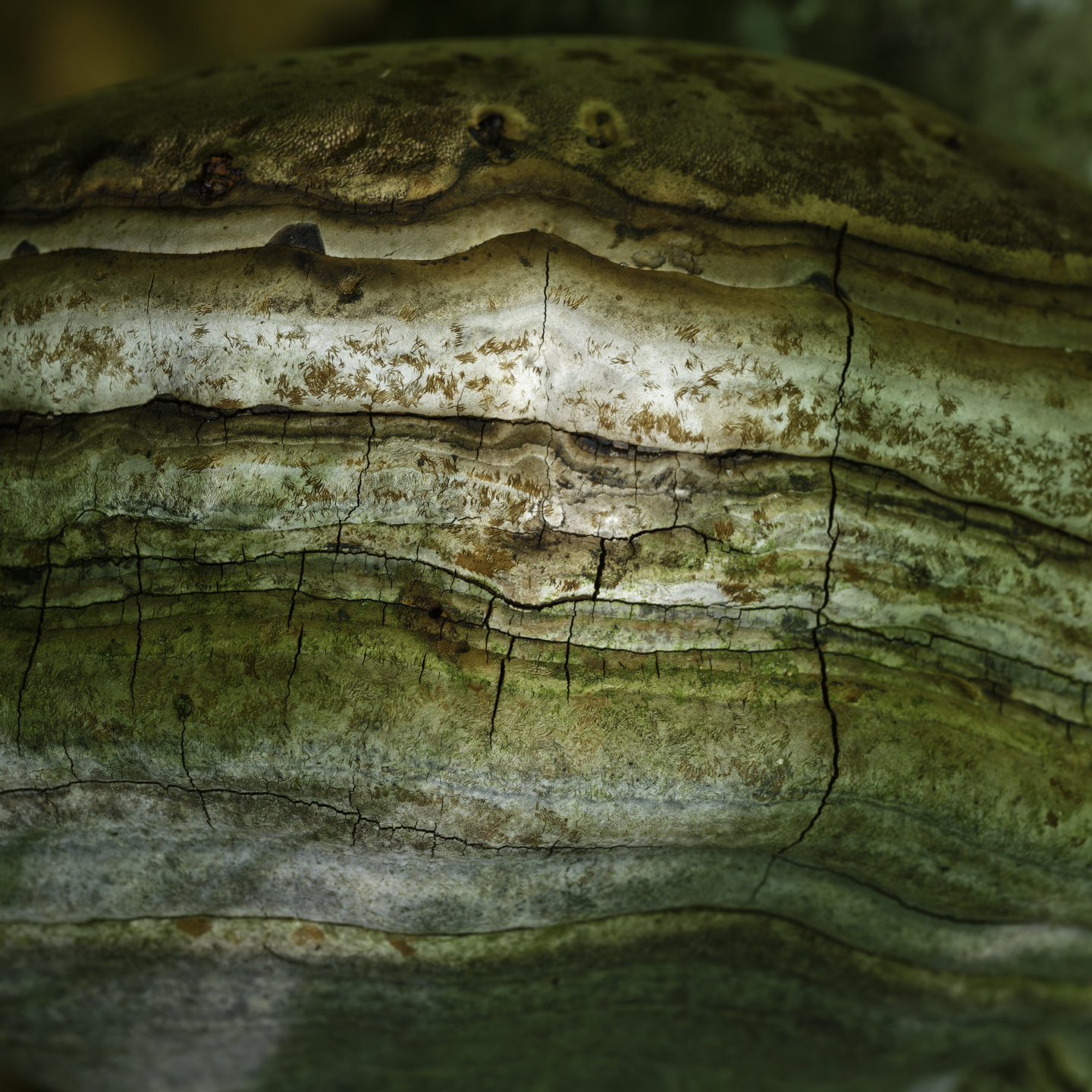 Small layers. © 2026.
