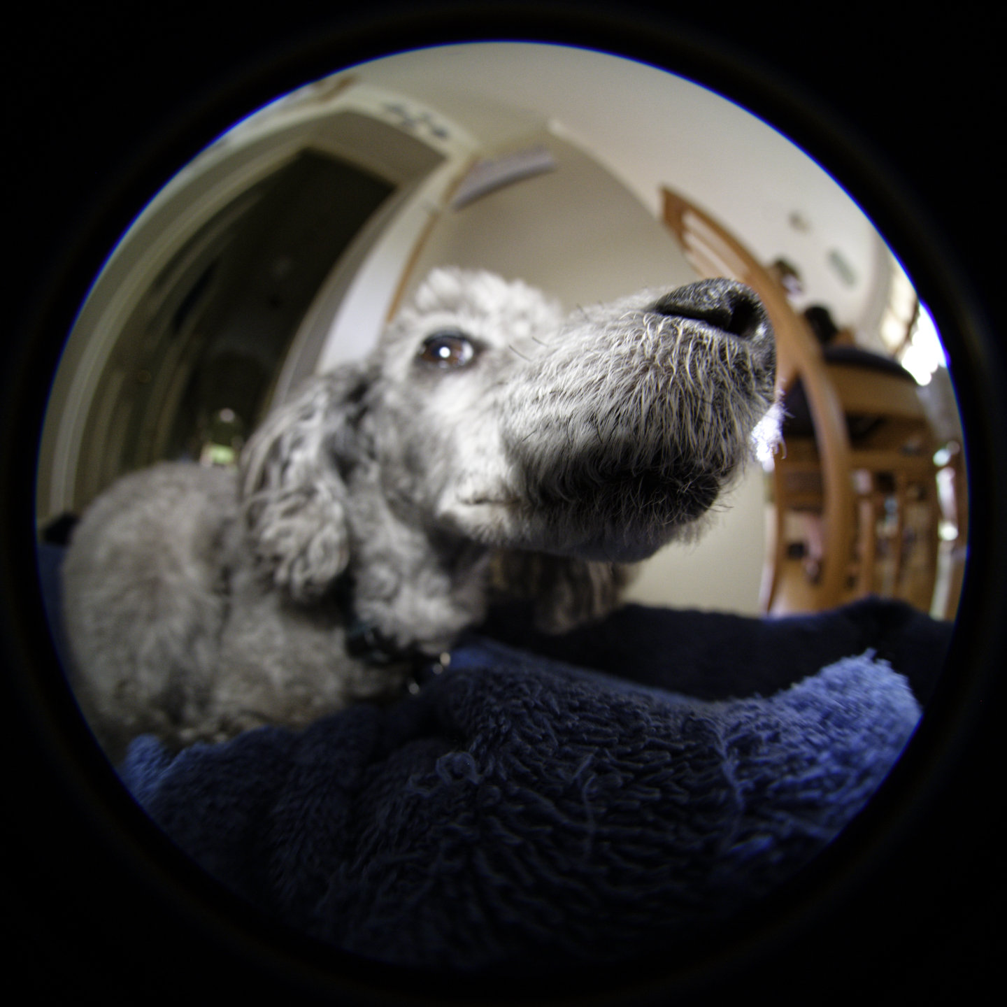 My what a snout you have © 2026. This work is openly licensed via CC BY-NC 4.0