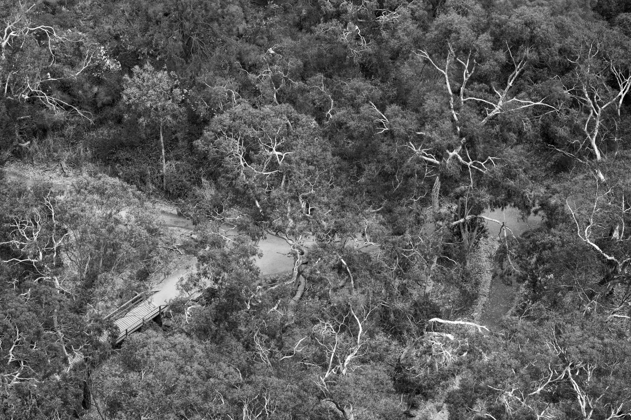 Fork lightning © 2026. This work is openly licensed via CC BY-NC 4.0