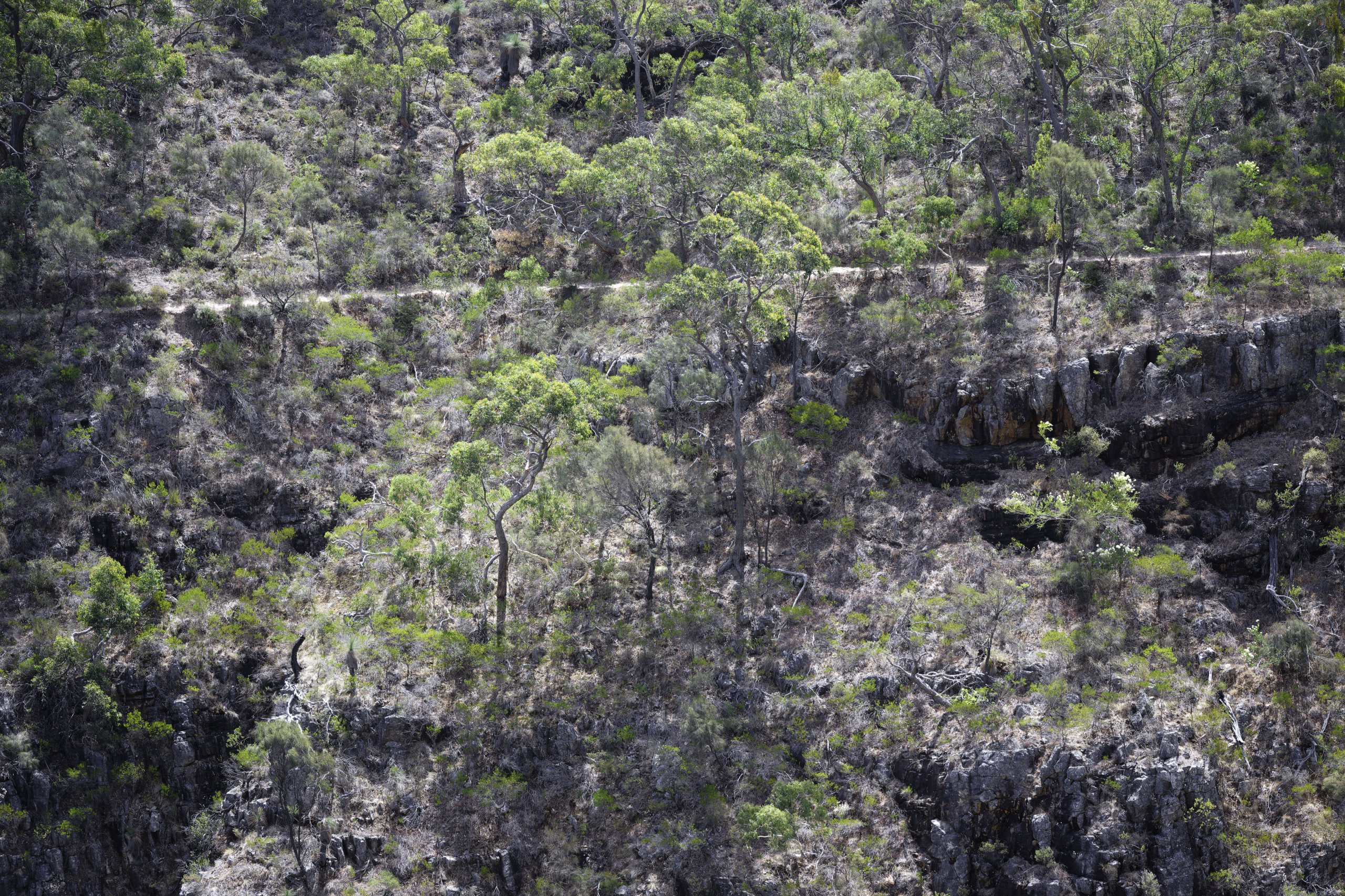 Morialta magic © 2026. This work is openly licensed via CC BY-NC 4.0