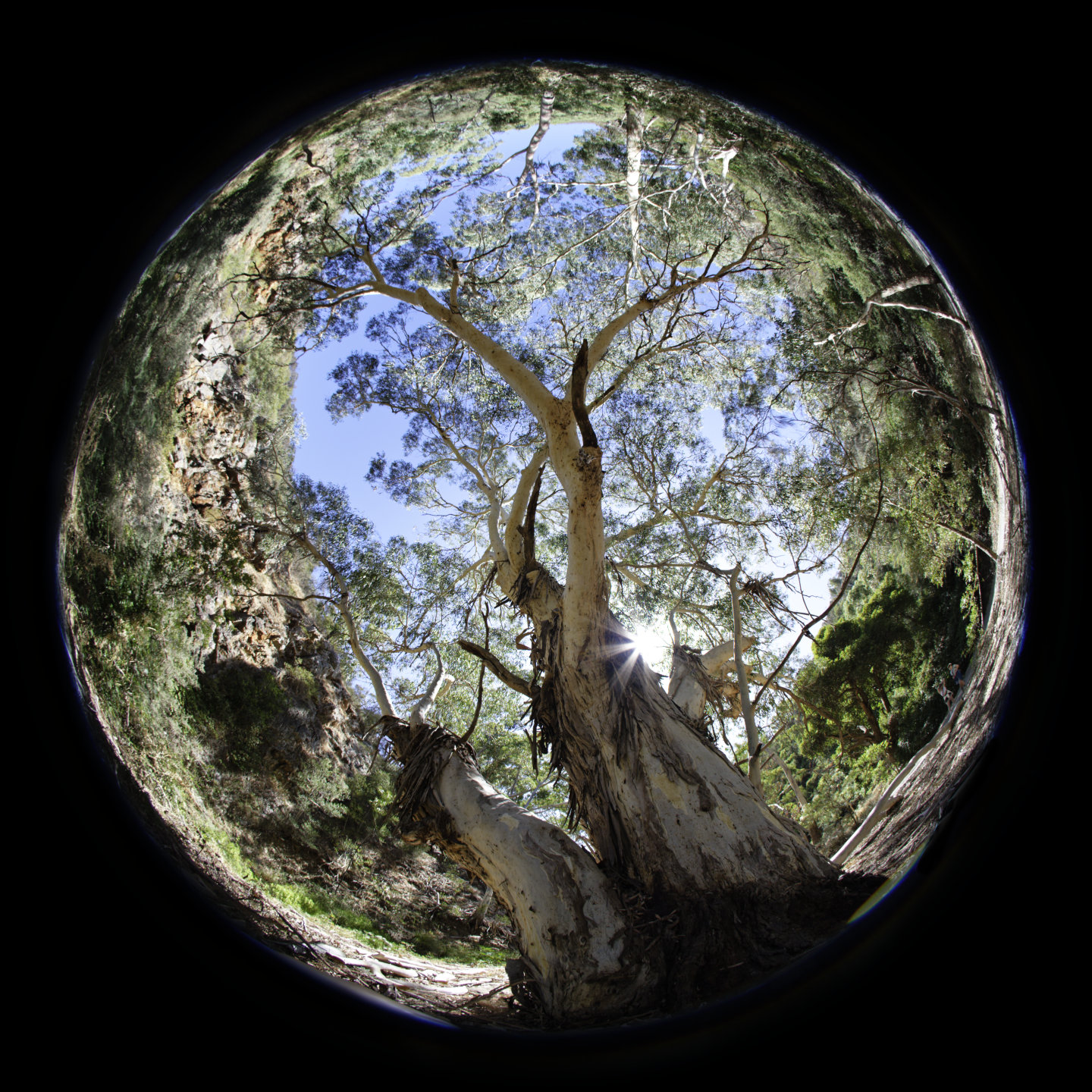 Fork © 2026. This work is openly licensed via CC BY-NC 4.0