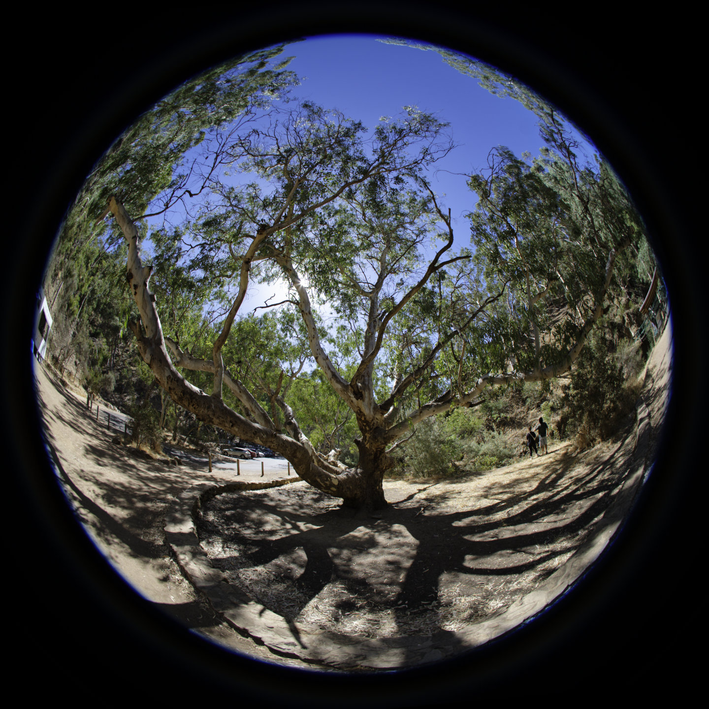 Spider © 2026. This work is openly licensed via CC BY-NC 4.0