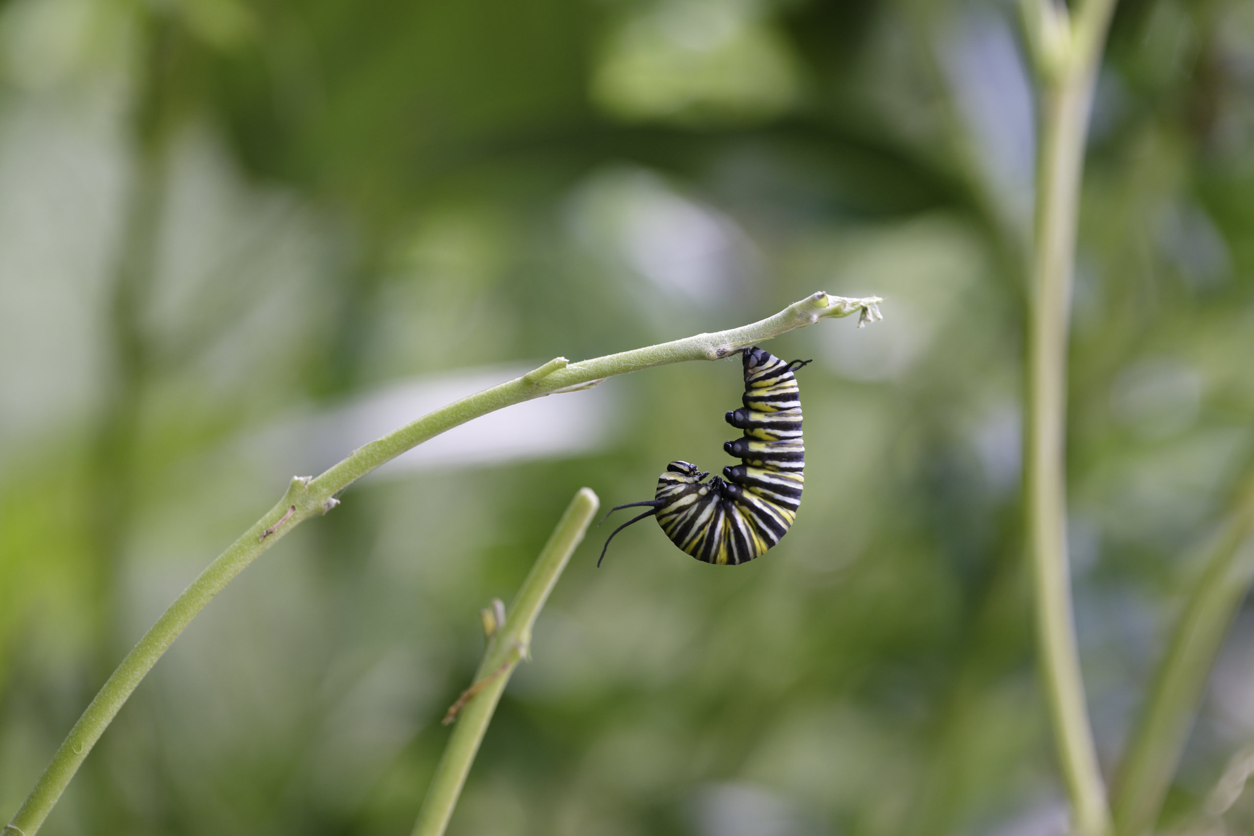 Hanging on © 2026. This work is openly licensed via CC BY-NC 4.0