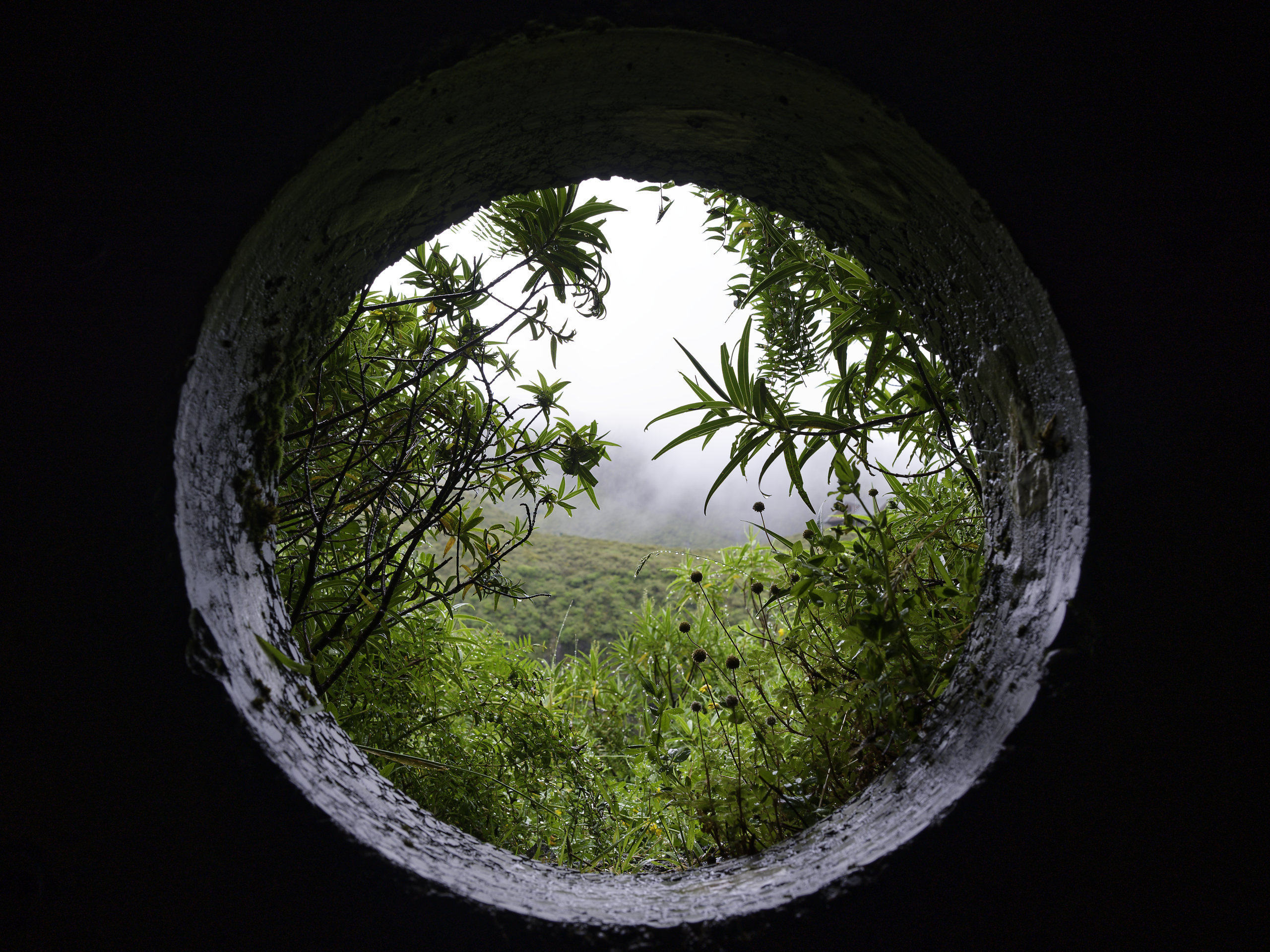 False fisheye © 2026. This work is openly licensed via CC BY-NC 4.0