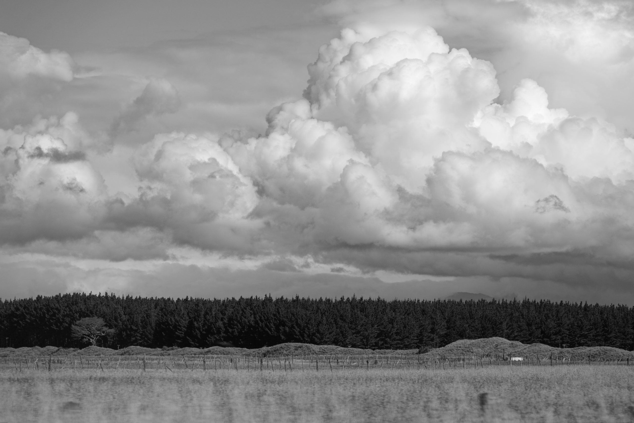 Cumulus © 2026. This work is openly licensed via CC BY-NC 4.0