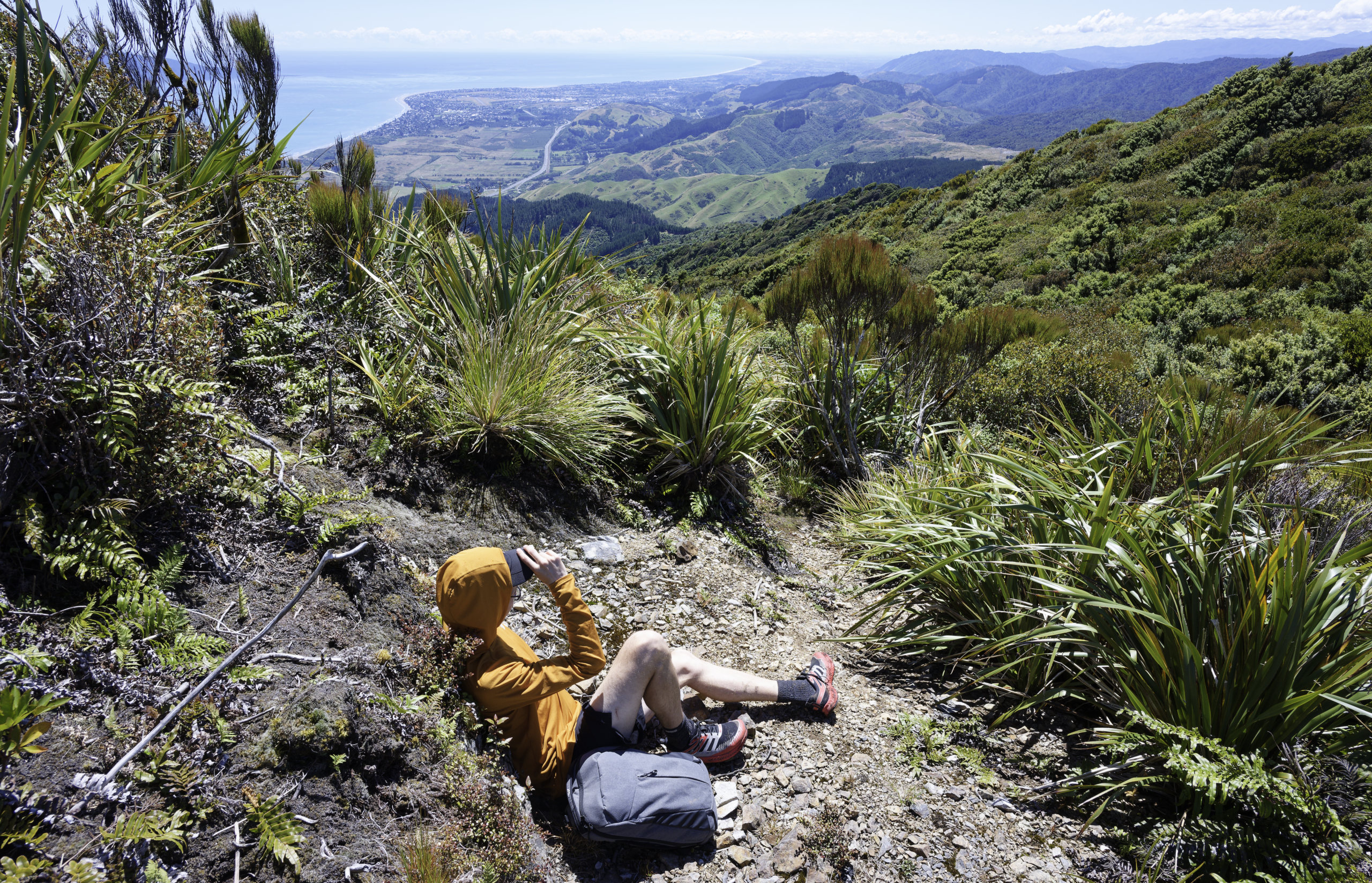 Long view #1 © 2026. This work is openly licensed via CC BY-NC 4.0