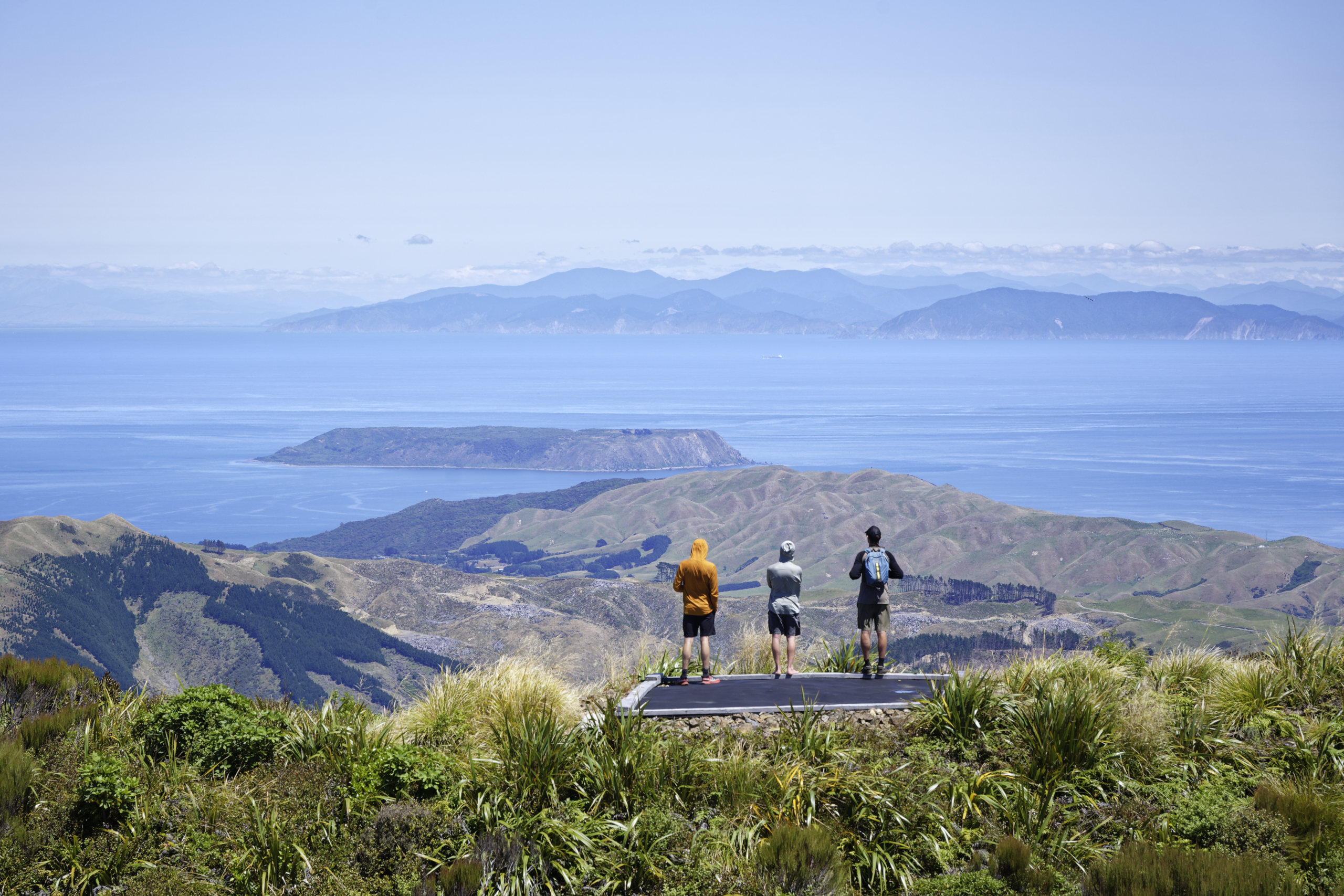 Long view #2 © 2026. This work is openly licensed via CC BY-NC 4.0