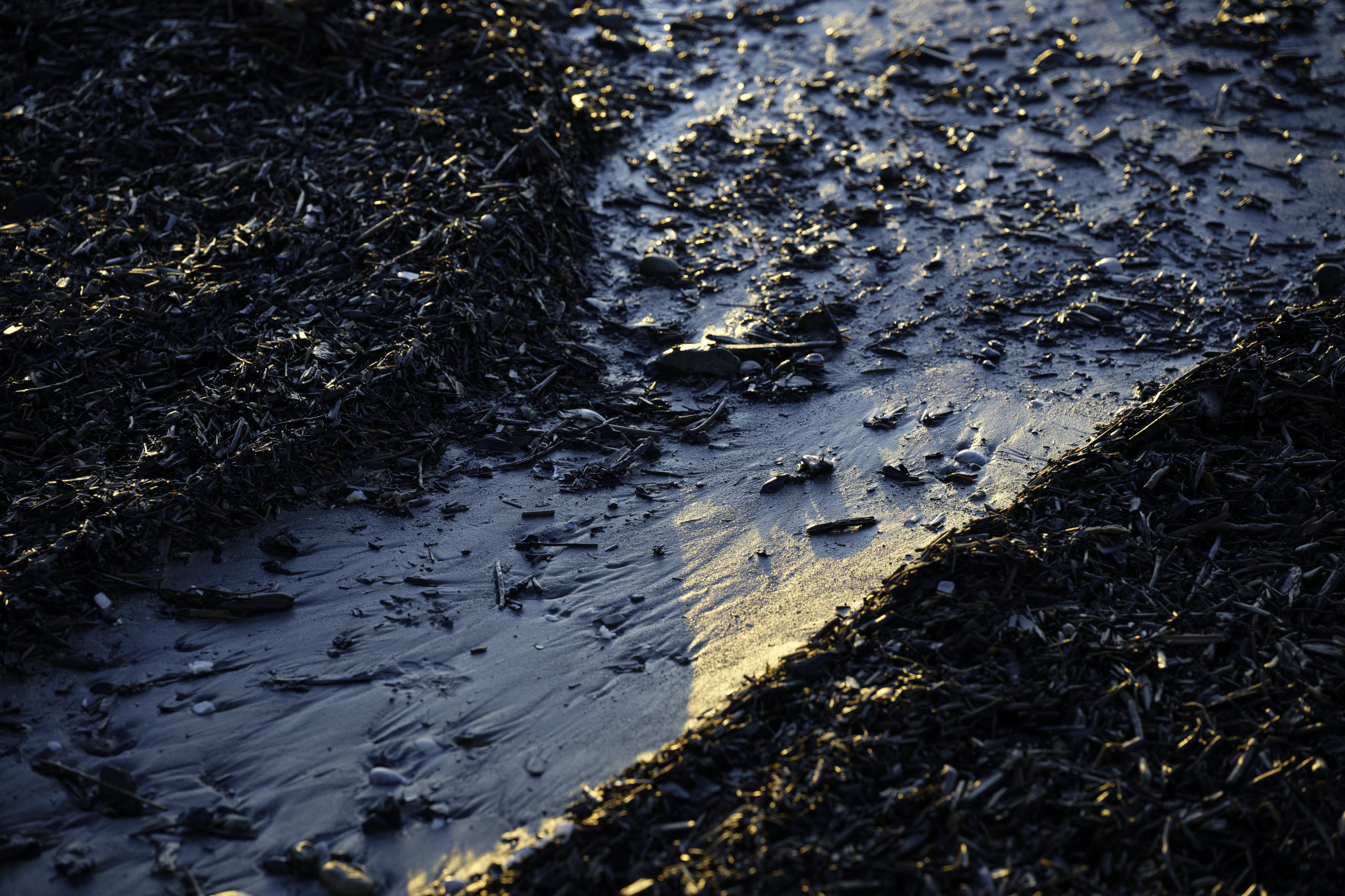 Valley © 2026. This work is openly licensed via CC BY-NC 4.0