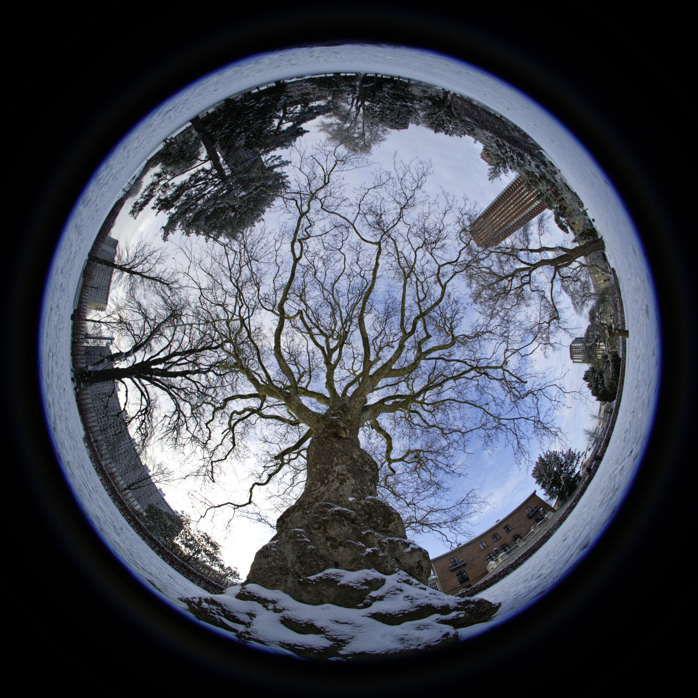 Yggdrasil. © 2026. This work is openly licensed via CC BY-NC 4.0