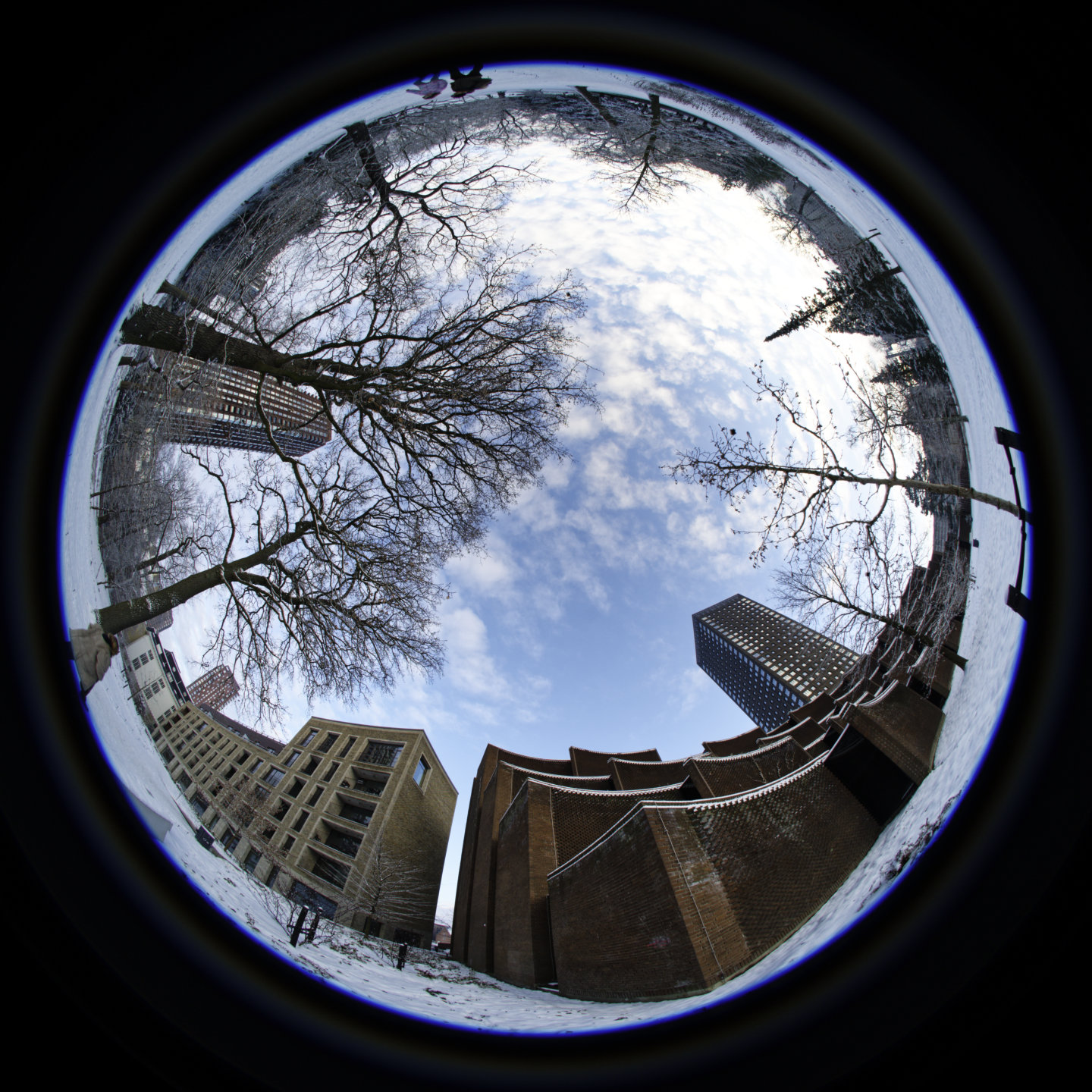 Snowglobe. © 2026. This work is openly licensed via CC BY-NC 4.0