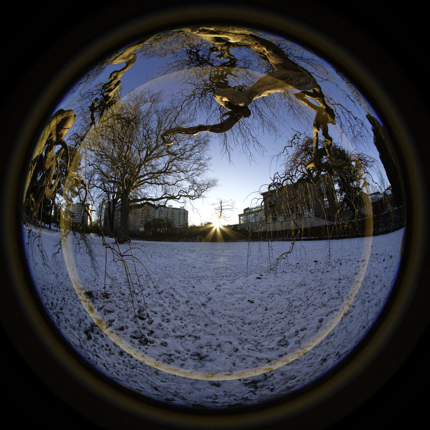 Sunset halo. © 2026. This work is openly licensed via CC BY-NC 4.0