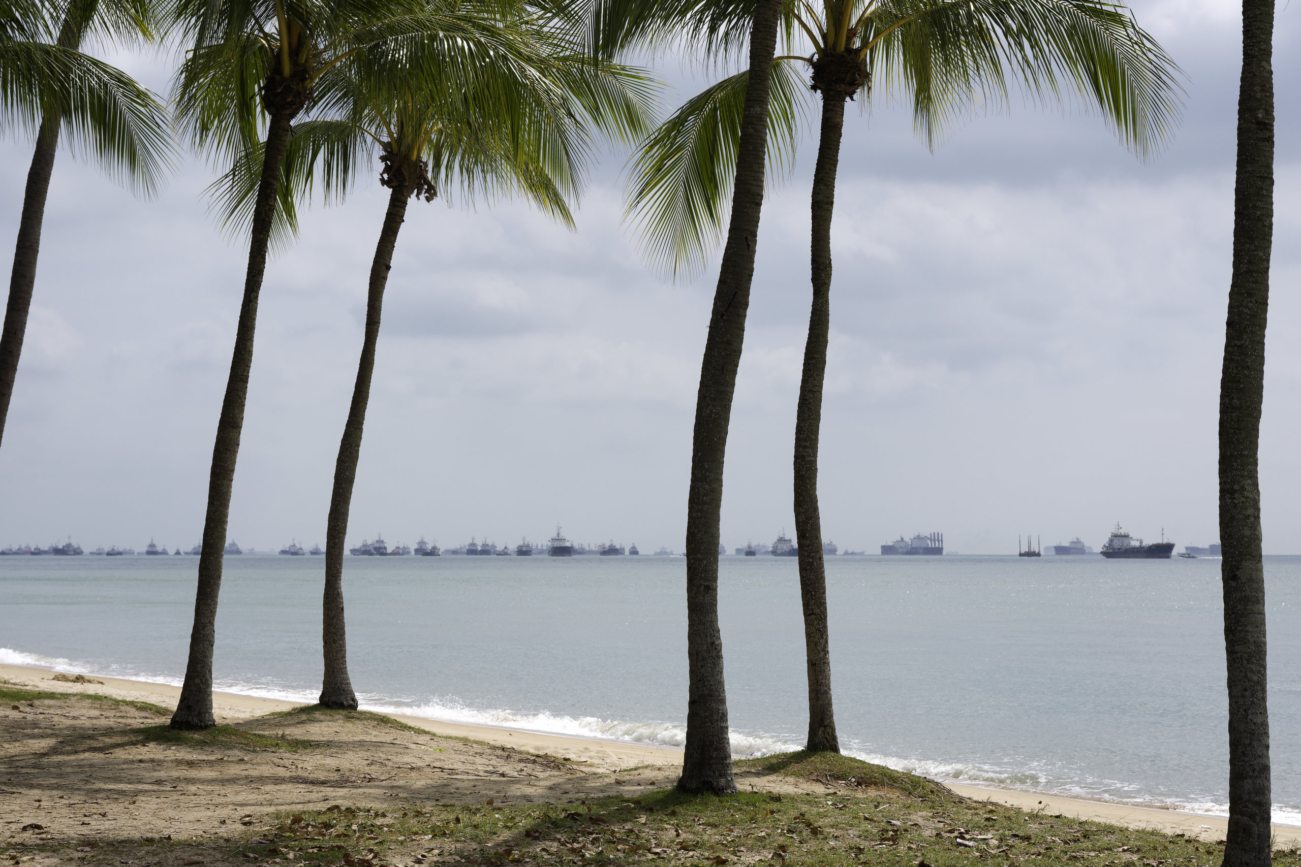 Queues. © 2026. This work is openly licensed via CC BY-NC 4.0