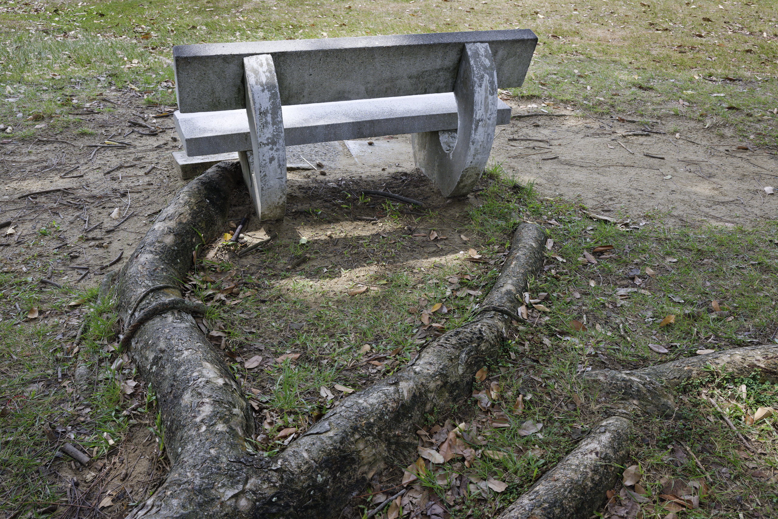 Engulfment. © 2026. This work is openly licensed via CC BY-NC 4.0