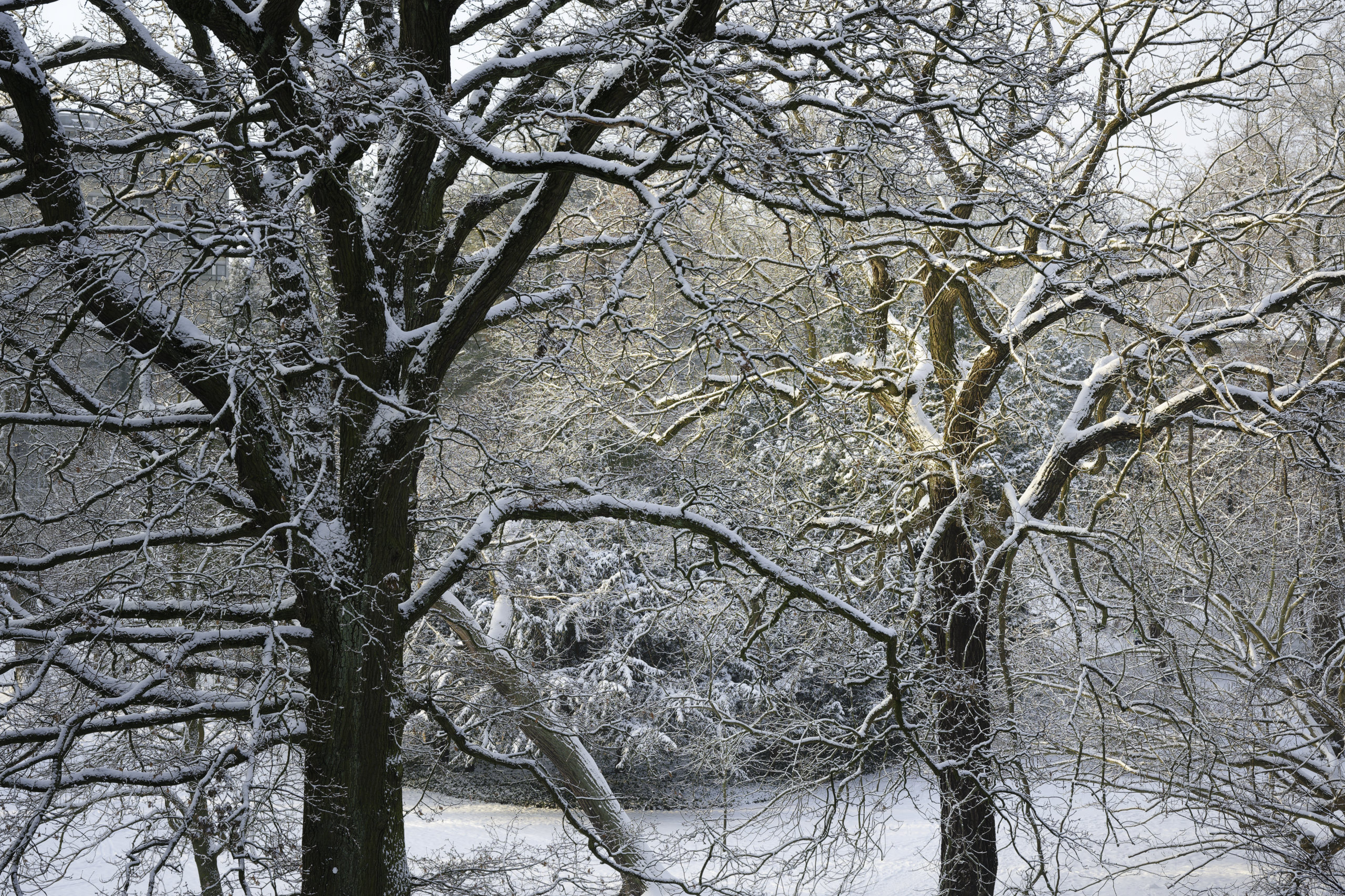 Sunrise. © 2026. This work is openly licensed via CC BY-NC 4.0