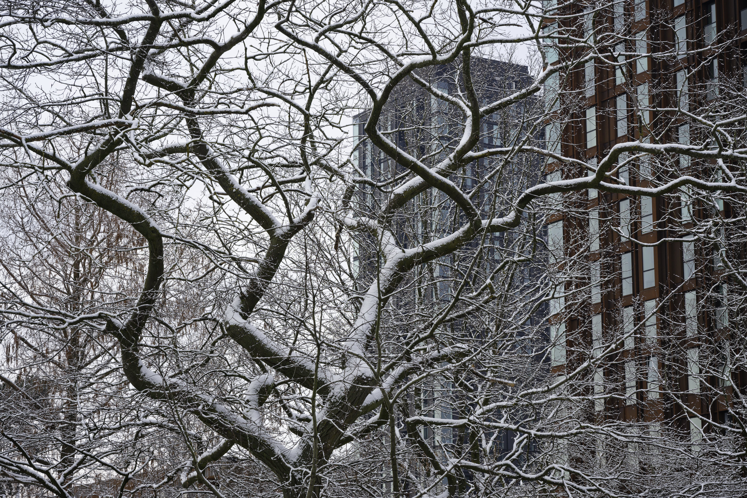 Dusted. © 2026. This work is openly licensed via CC BY-NC 4.0