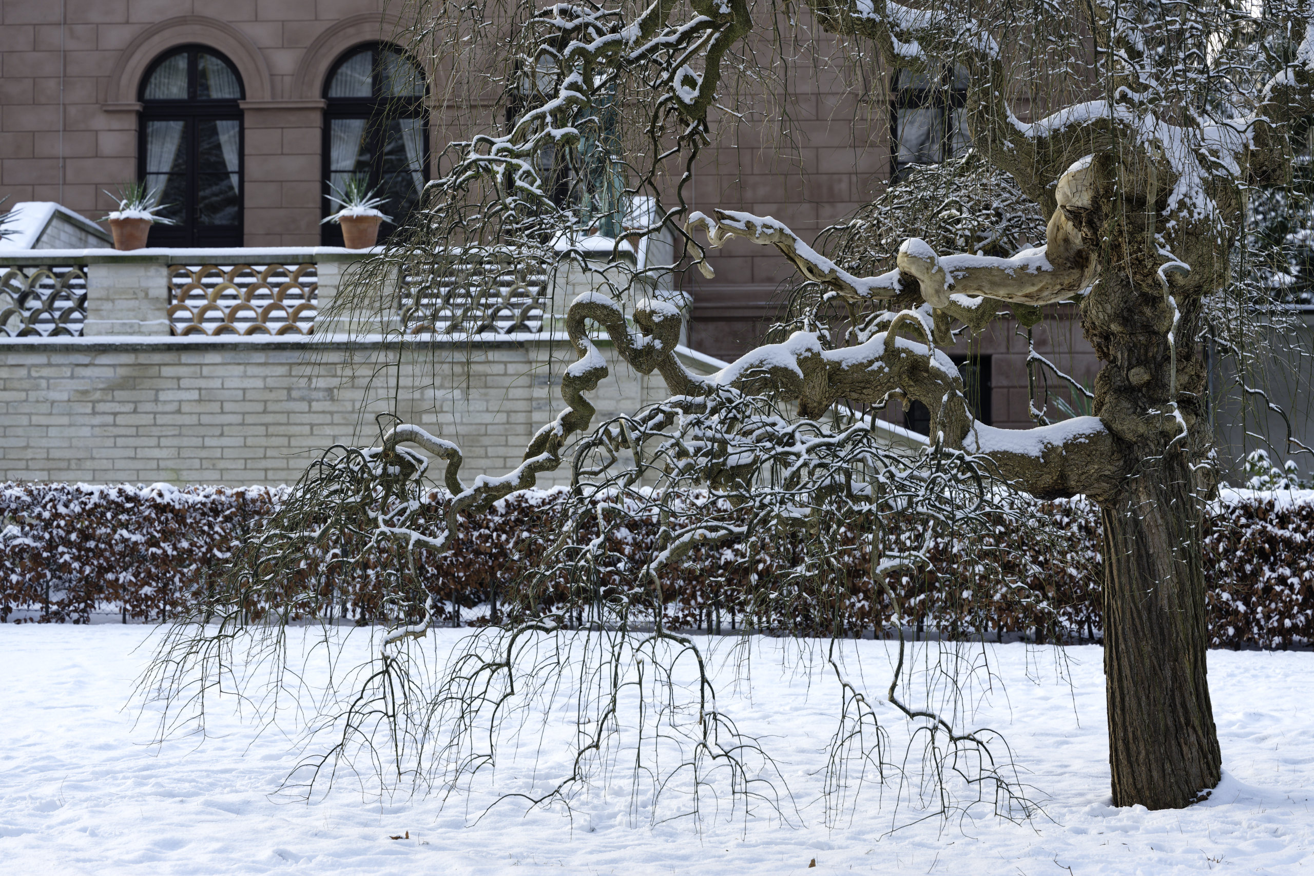 Wonderland. © 2026. This work is openly licensed via CC BY-NC 4.0